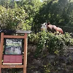 La Casetta Di Lele E Schina 度假居