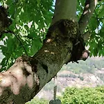 度假居 La Casetta Di Lele E Schina 奥维