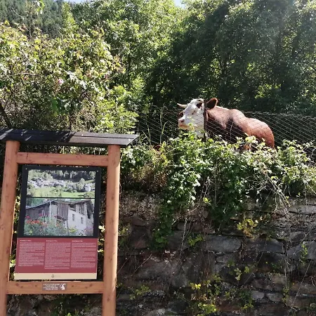 La Casetta Di Lele E Schina Vakantiehuis