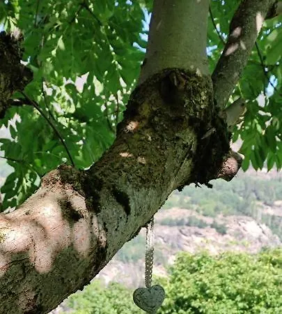 Casa de Férias La Casetta Di Lele E Schina Arvier