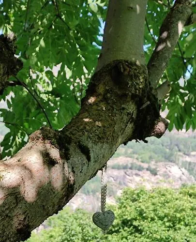 Vakantiehuis La Casetta Di Lele E Schina Arvier